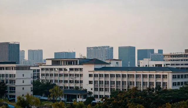 系统集成使用场景中如何避免性能问题?
